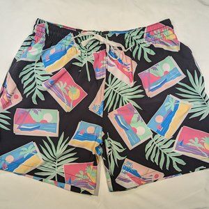 Chubbies Men's Postcard Swim Trunks - L 5.5"
